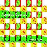 Acoustic Quartet. USB-blues.